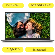 Dell Inspiron 3520 Metal Platinum Silver (i5-1235U 12th Gen Processor 8GB DDR4 RAM 512GB SSD Integrated Graphics Windows 11 MS Office 2021 15.6 FHD WVA AG Narrow Border)-With Bag