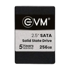 EVM 256GB SSD 2.5 Inch Sata
