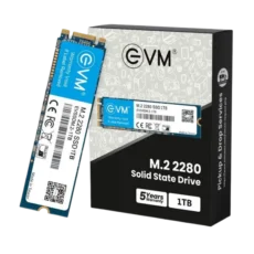 EVM M.2 (2280) 1TB SSD SATA