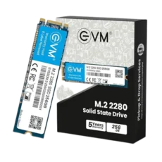 EVM M.2 (2280) 256GB SSD SATA