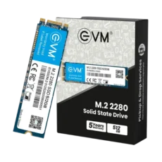 EVM M.2 (2280) 512GB SSD SATA